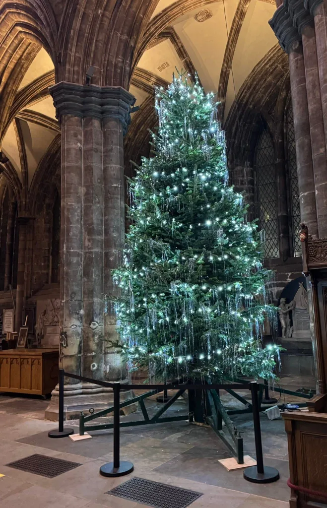 A tall Christmas tree in a cathedral nave, lit with white lights and hung with silver tinsel icicles, standing between the stone piers behind a rope barrier.