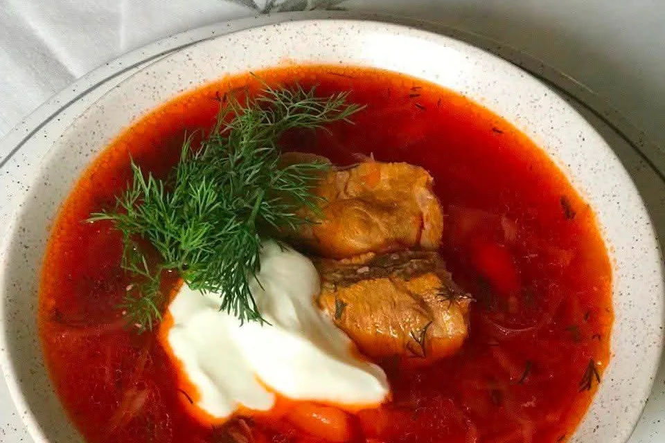 A bowl of borscht with soured cream, dill and beef